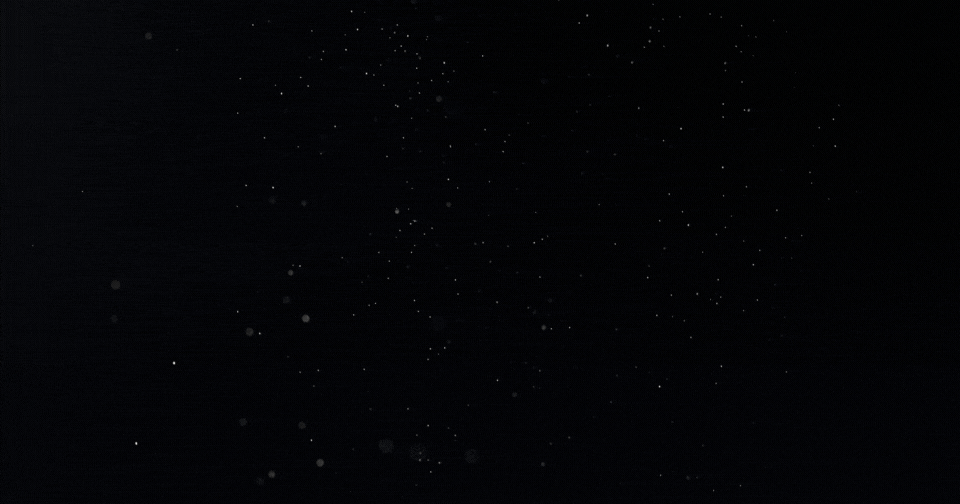 Watch Our Brand Grow – Watch Your Brand Grow